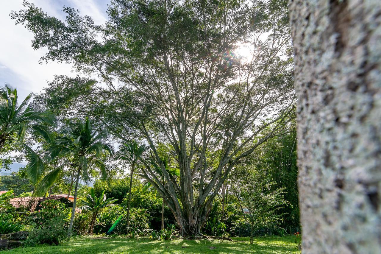Villa Margarita Animas  Exterior photo